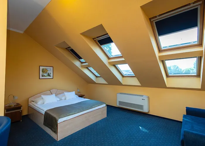 Tunderpart Vendeghaz